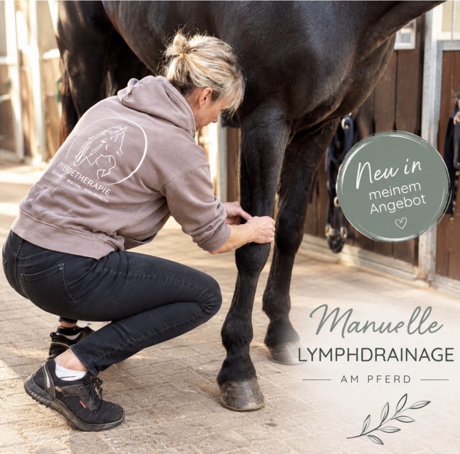 Fortbildung „Manuelle Lymphdrainage“